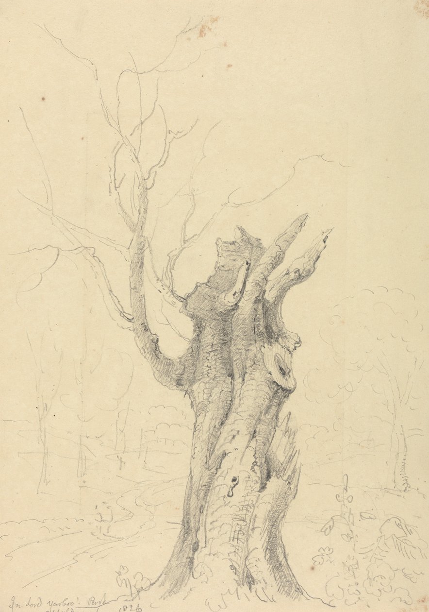 Im Park von Lord Yarborough, Appuldurcombe, Isle of Wight von Capt. Thomas Hastings