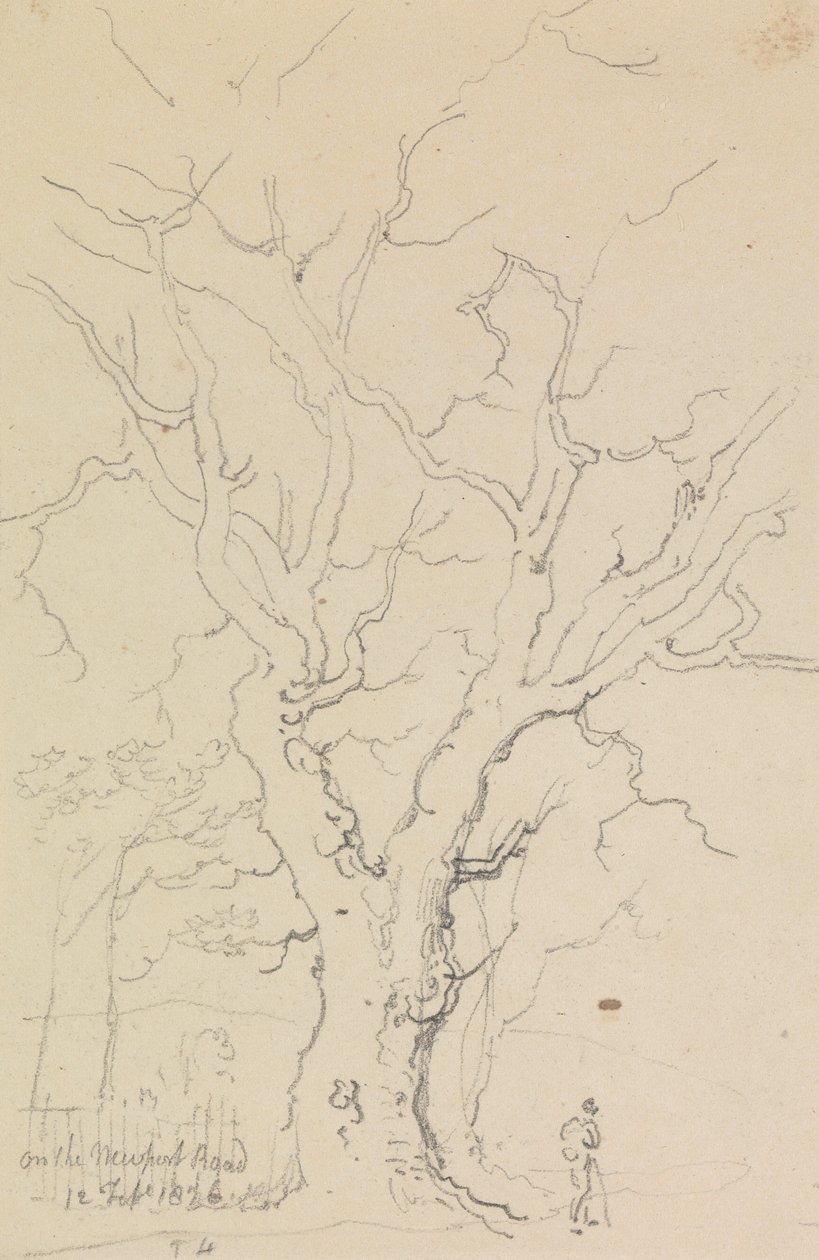 Auf der Newport Road, 12. Februar 1826 von Capt. Thomas Hastings