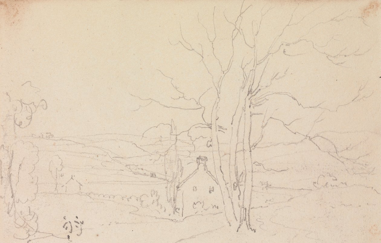 Skizze eines großen Baumes und eines Häuschens von Capt. Thomas Hastings
