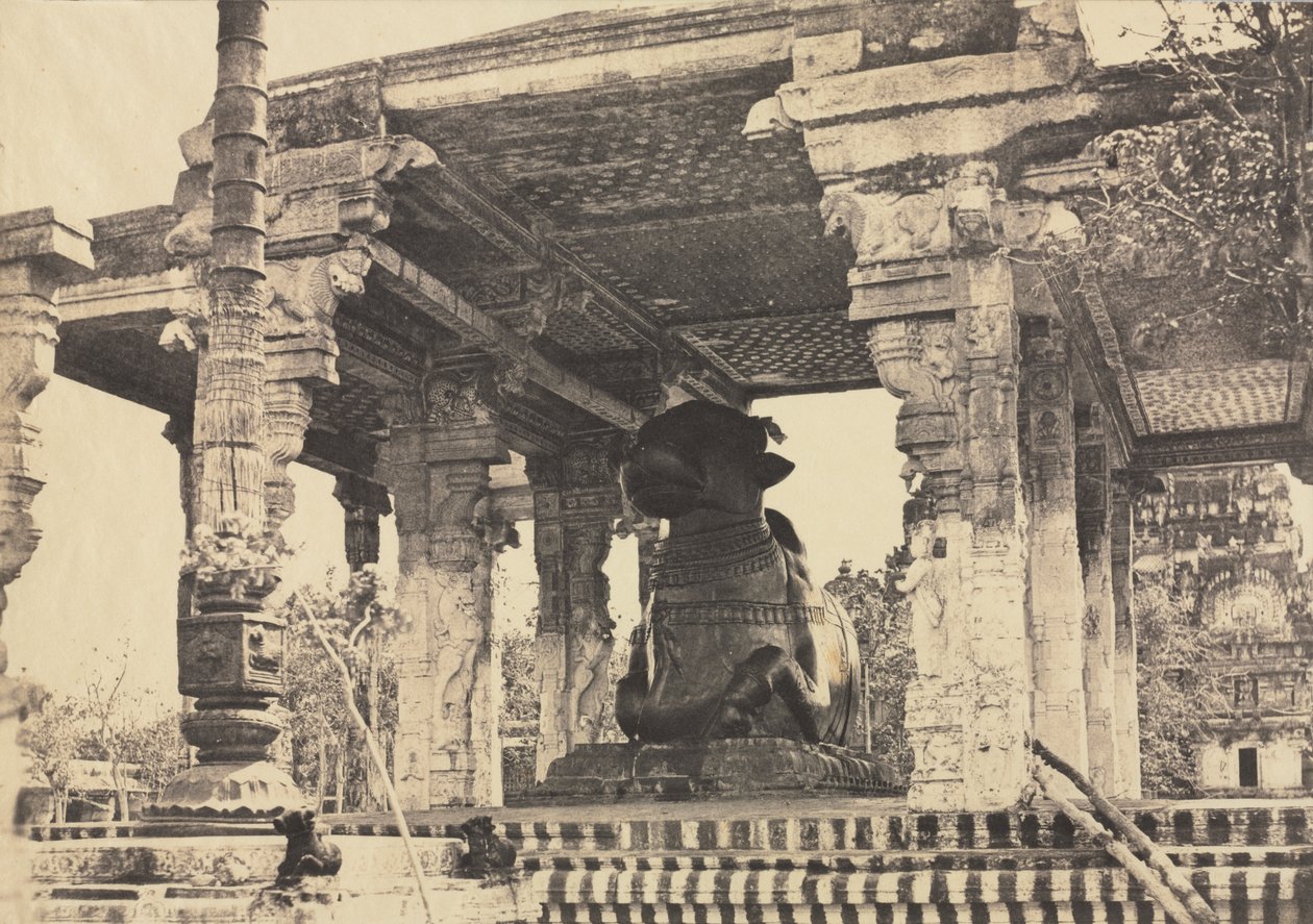 Große Pagode, Großer Stier, Vorderansicht, Tanjore, Indien (Rajarajesvara-Tempel) von Captain Linnaeus Tripe