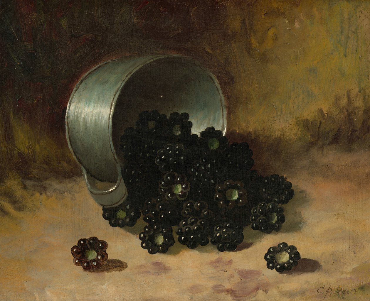 Brombeeren, die aus einer Zinnschale fallen von Carducius Plantagenet Ream