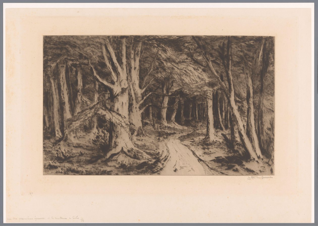 Waldrand mit Waldweg von Carel Nicolaas Storm van 