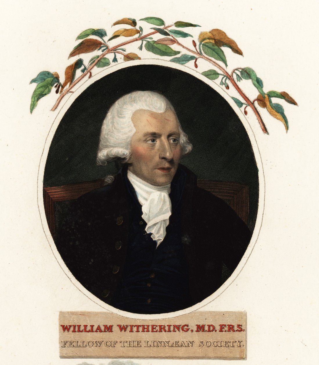 Porträt von William Withering, Arzt und Botaniker von Carl Frederik van (after) Breda