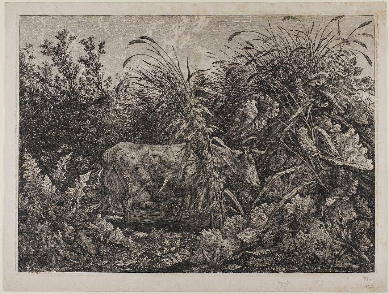 Kuh in einem Bach von Carl Wilhelm Kolbe the elder