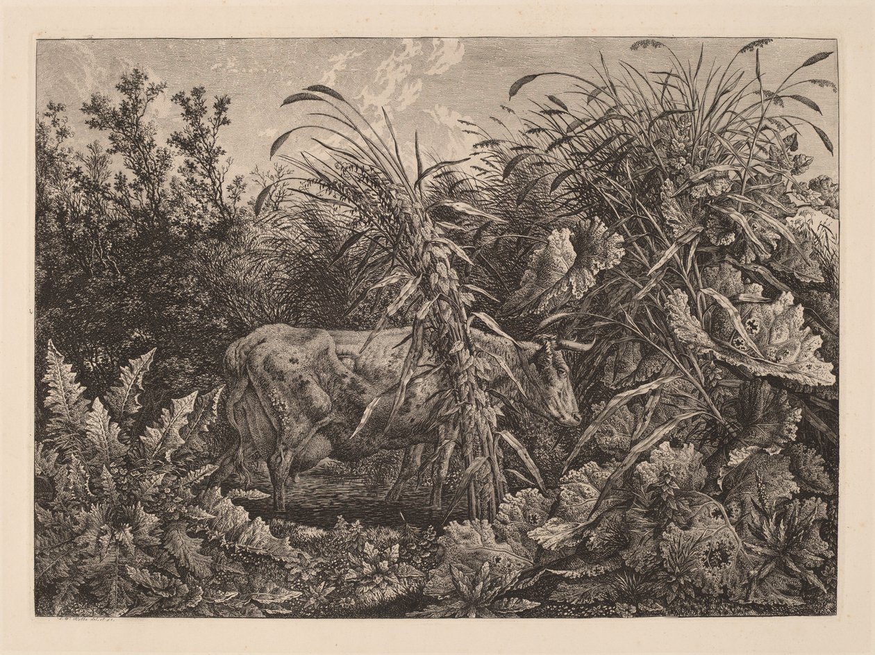 Die Kuh im Sumpf von Carl Wilhelm Kolbe, the elder