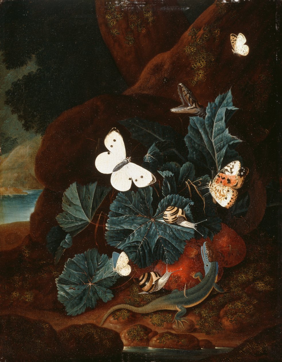 Stillleben auf Waldboden mit Eidechse, Schmetterlingen, Schnecke und Schlange von Carl Wilhelm de Hamilton