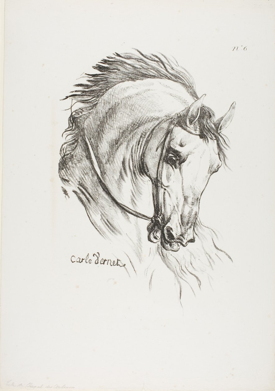 Detail (Pferdekopf, vergrößert auf dreifache Größe, Husar, Königliche Garde, Nr. 6) von Carle Vernet