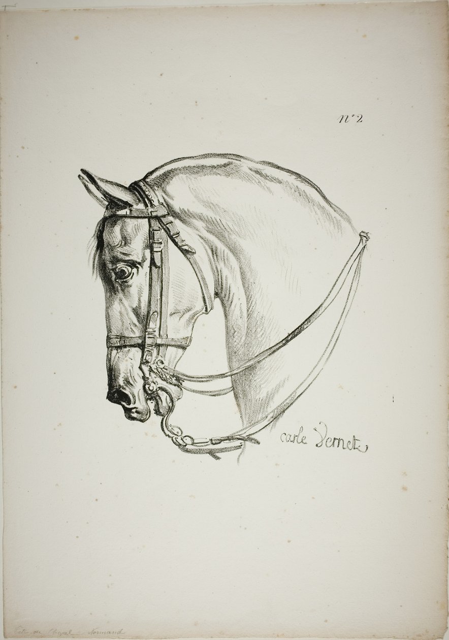 Detail (Pferdekopf, vergrößert auf dreifache Größe, Normannische Königswache, Nr. 2) von Carle Vernet