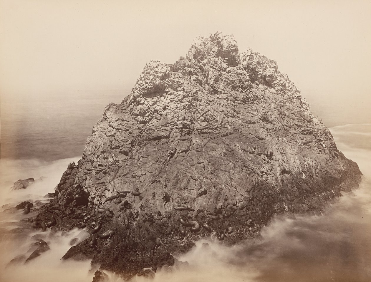 Sugar Loaf Islands, Farallons, 1868-69 von Carleton Emmons Watkins