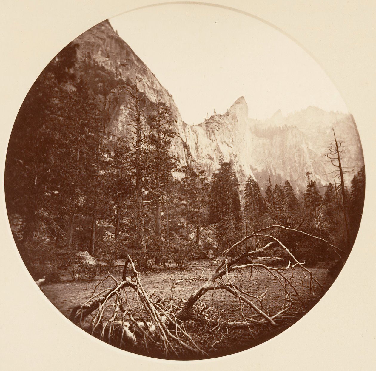 [Yosemite-Nationalpark, Kalifornien], ca. 1878 von Carleton Emmons Watkins