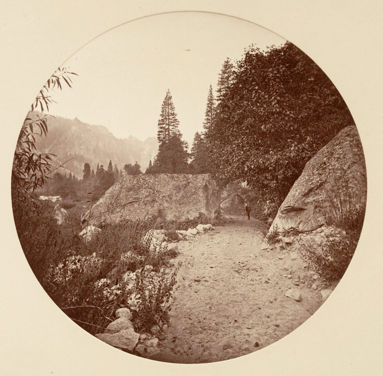 [Yosemite-Nationalpark, Kalifornien], ca. 1878 von Carleton Emmons Watkins
