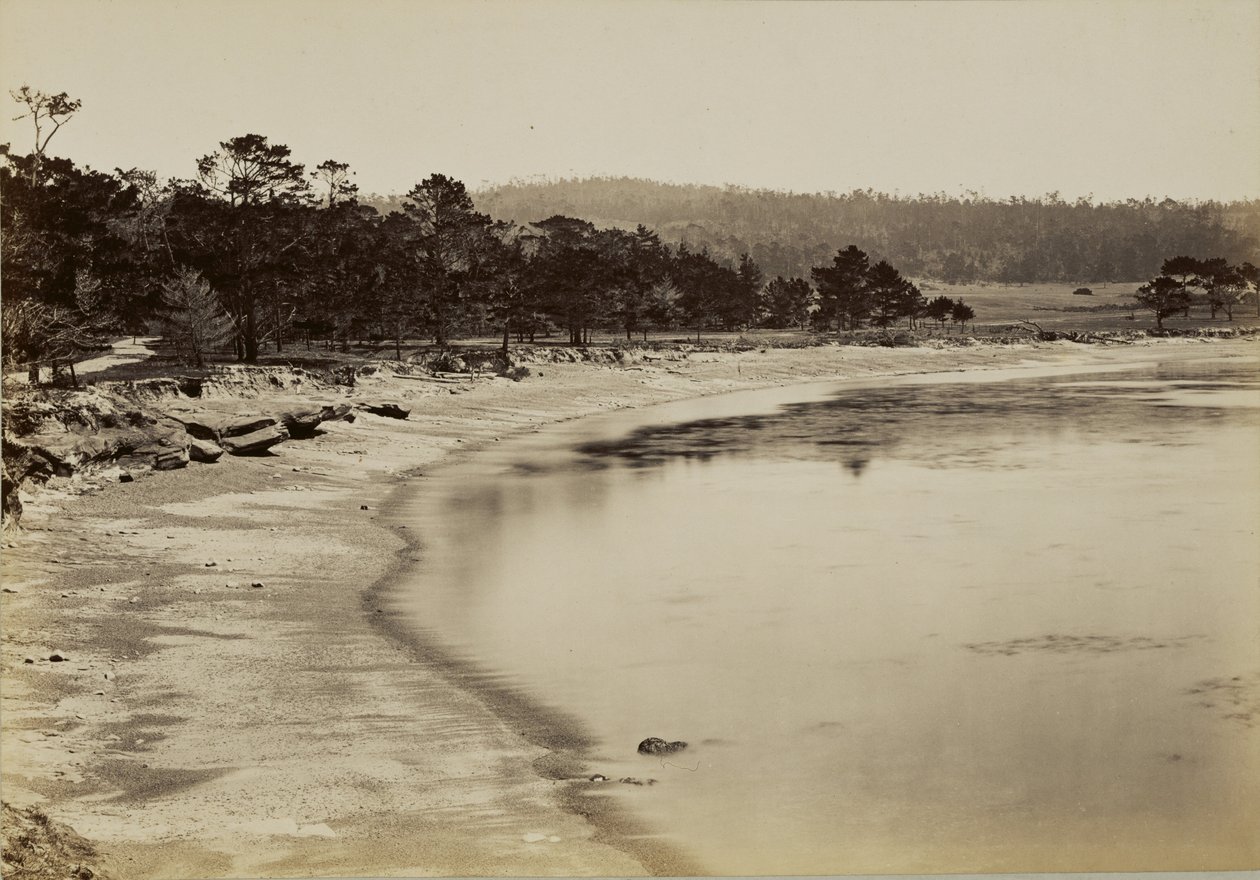 Küstenansicht in der Nähe von Monterey von Carleton Watkins