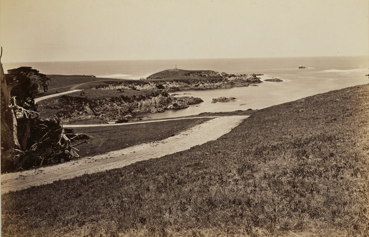 Küstenansicht in der Nähe von Monterey von Carleton Watkins
