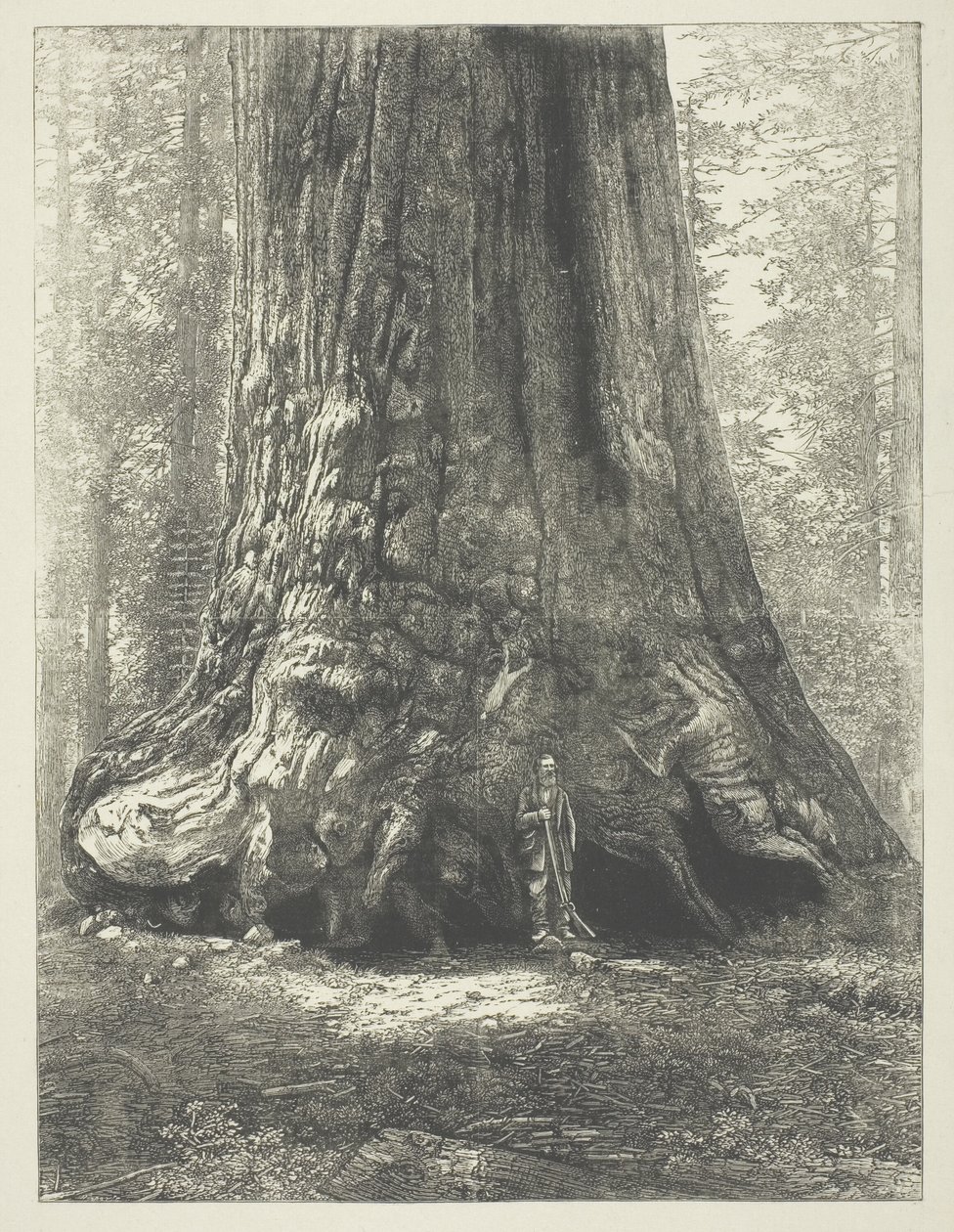 Kopie von Carleton Watkins