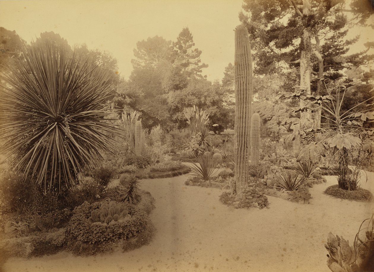 Monterey, Kalifornien. Arizona-Garten, Hotel Del Monte. von Carleton Watkins