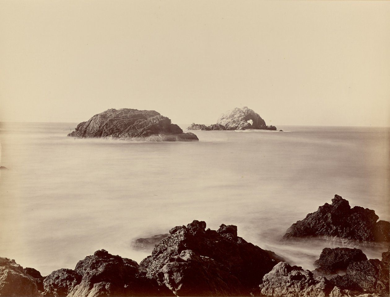 [Seal Rocks vom Punkt] von Carleton Watkins