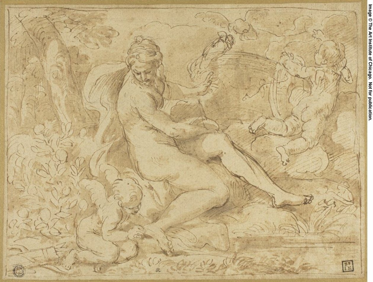 Studie für den Ursprung der Rose von Carlo Maratti