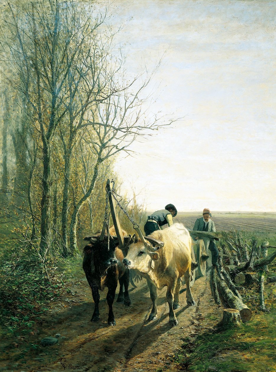 Erwartete Steuer (Ochsen vor dem Wagen) von Carlo Pittara
