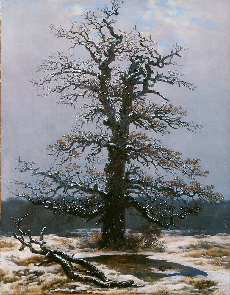 Eiche im Schnee von Caspar David Friedrich