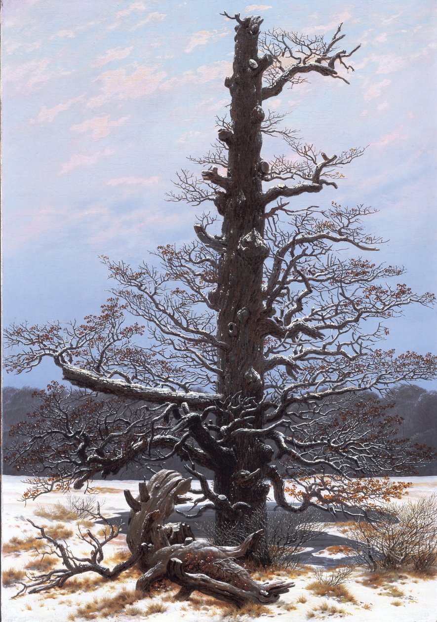 Eichbaum im Schnee von Caspar David Friedrich