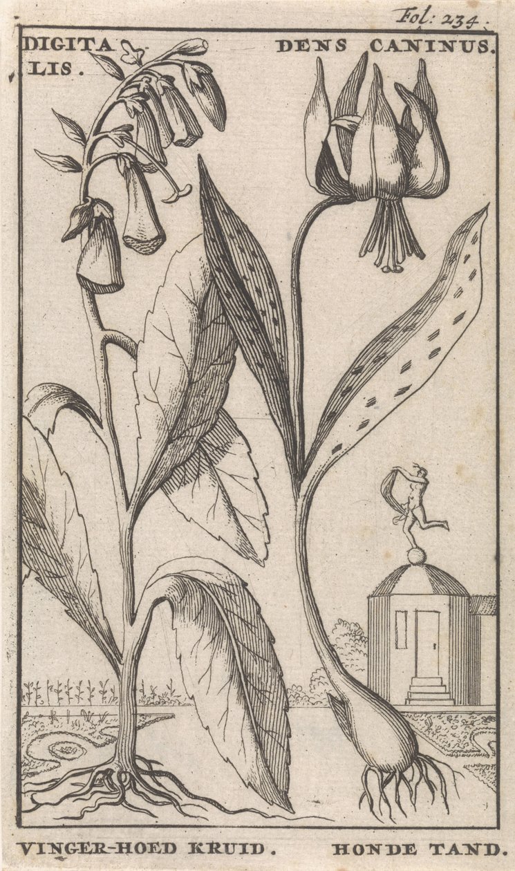 Titelblatt und acht Drucke mit Blumen von Caspar Luyken