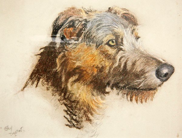 Ein schottischer Hirschhund von Cecil Charles Windsor Aldin