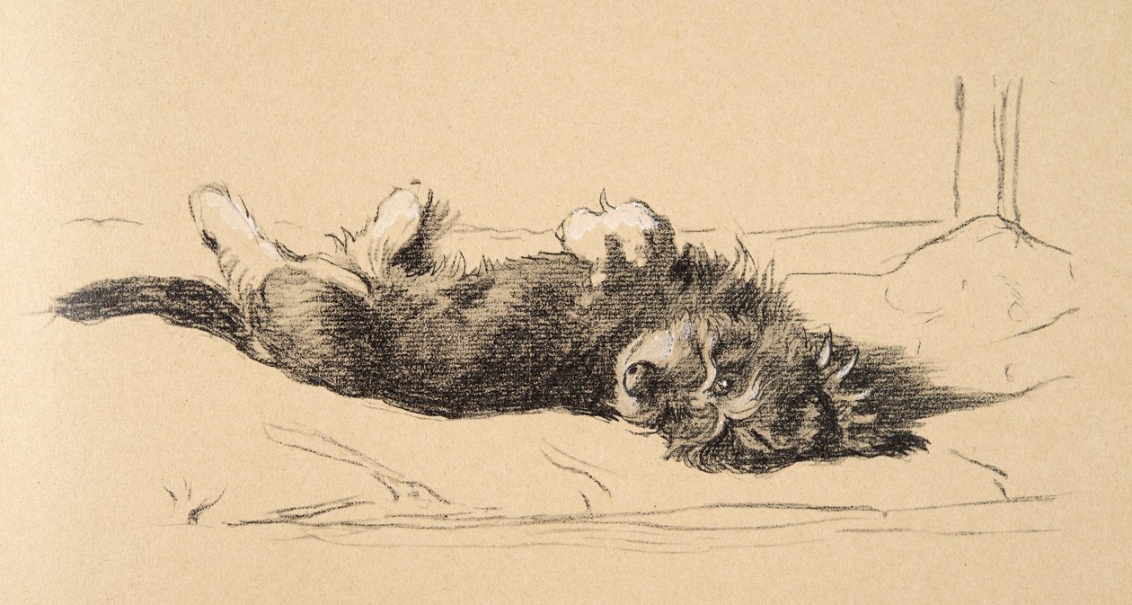 Rauhaariger Dackelwelpe (Detail), 1930, Illustrationen aus seinem Skizzenbuch verwendet für Just Among Friends, Aldin, Cecil Charles Windsor (1870-1935), später veröffentlicht von Eyre und Spottiswoode Limited, 1934 von Cecil Charles Windsor Aldin
