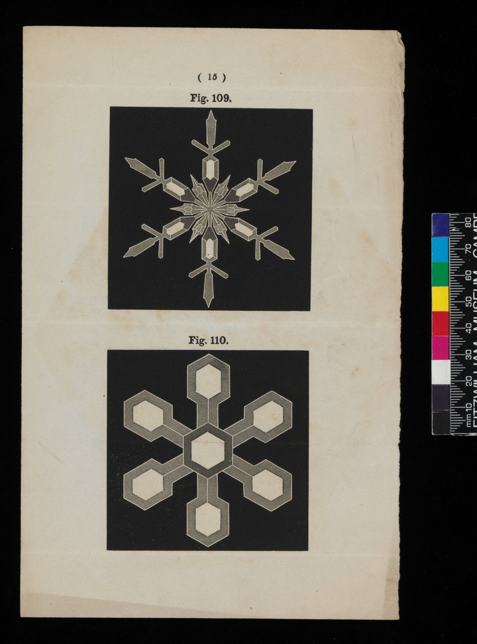 Schneekristalle von Cecilia Glaisher
