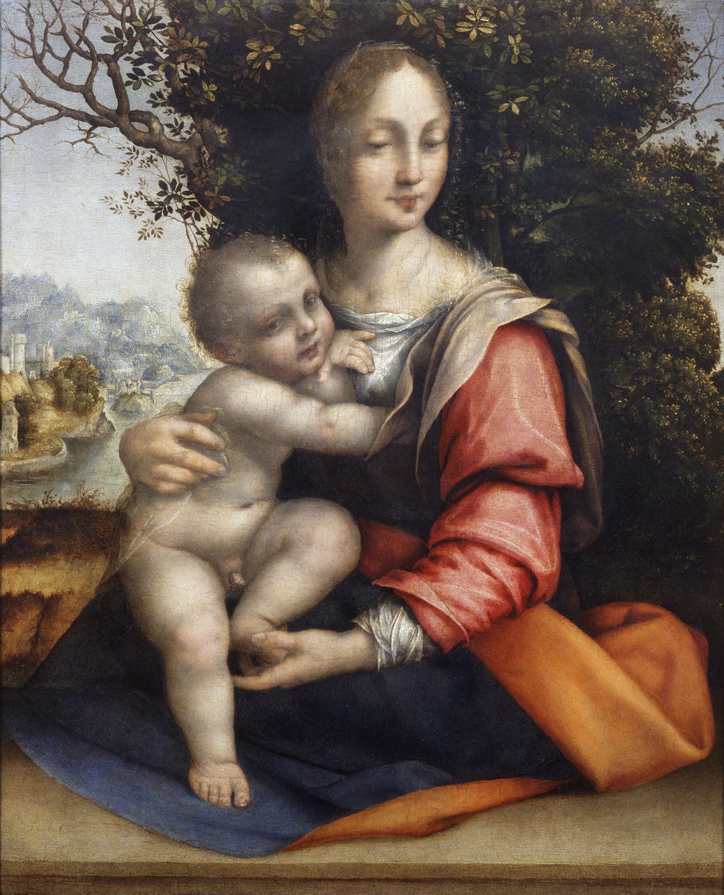 Madonna mit Kind (Unsere Liebe Frau vom Baum) von Cesare da Sesto