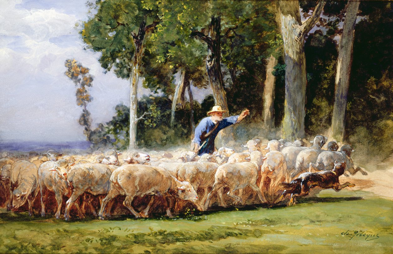 Ein Hirte mit einer Schafherde von Charles Emile Jacques