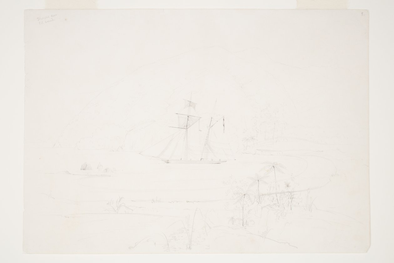 Flatfish Cove Q.C. Sound von Charles Heaphy
