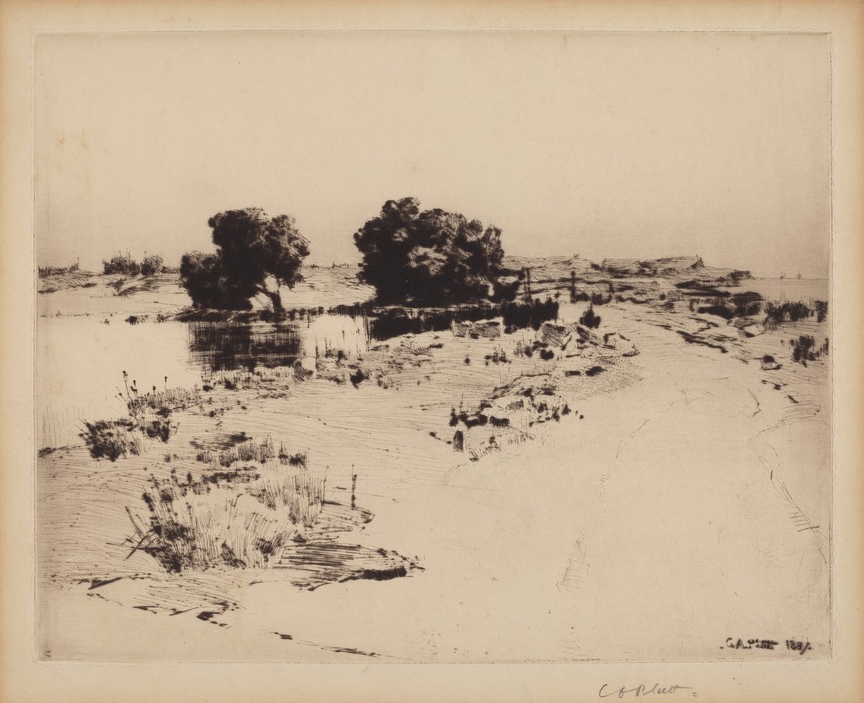 Cape Ann Weiden von Charles A. Platt