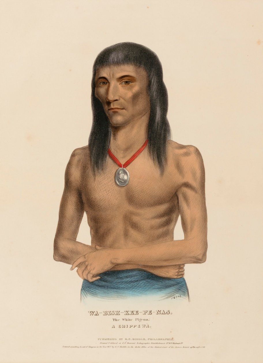 WA-BISH-KEE-PE-NAS. Die weiße Taube. Ein CHIPPEWA, aus Geschichte der Indianerstämme Nordamerikas von Charles Bird King
