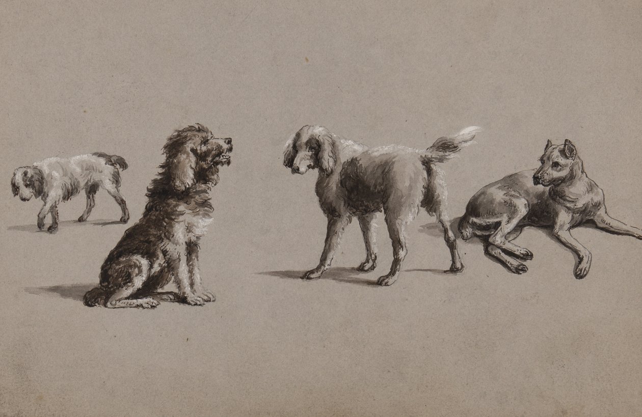 Studien von Hunden von Charles Cooper Henderson