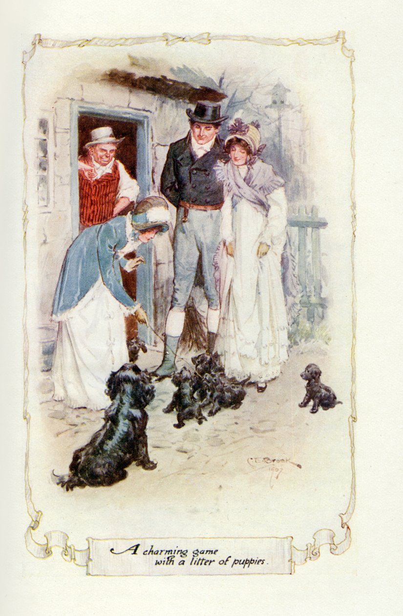 Ein charmantes Spiel mit einem Wurf Welpen (Illustration) von Charles Edmund Brock