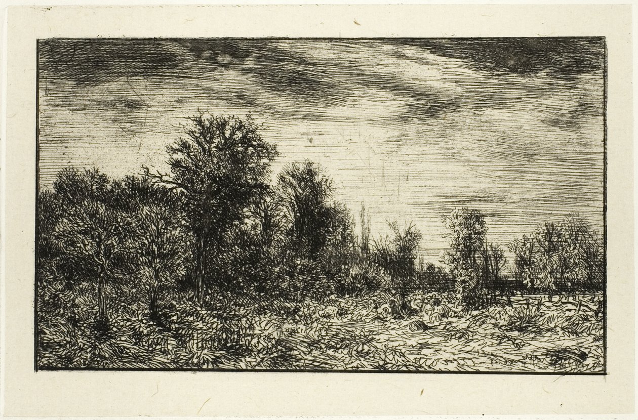 Waldrand unter bewölktem Himmel von Charles Emile Jacque