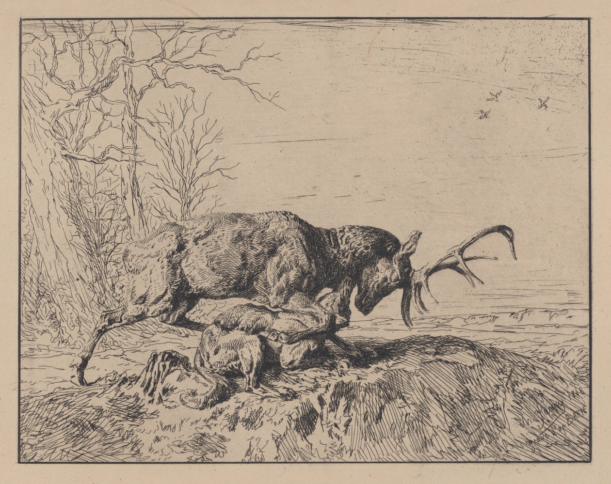 Hirsch kämpft gegen einen Wolf, nach Antoine Louis Barye, 1846 von Charles Emile Jacque