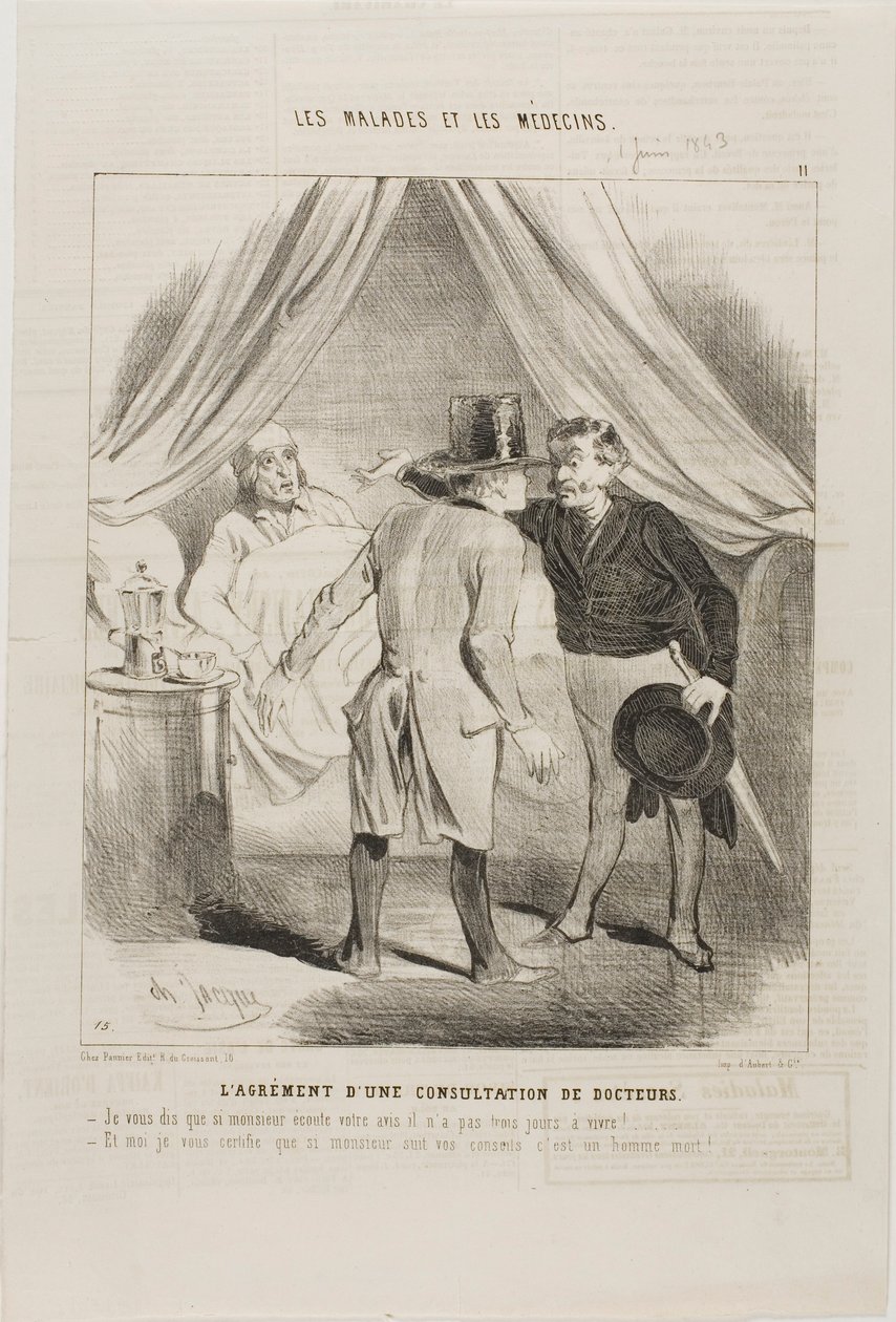 Das Vergnügen einer ärztlichen Beratung (Tafel 11) von Charles Emile Jacque