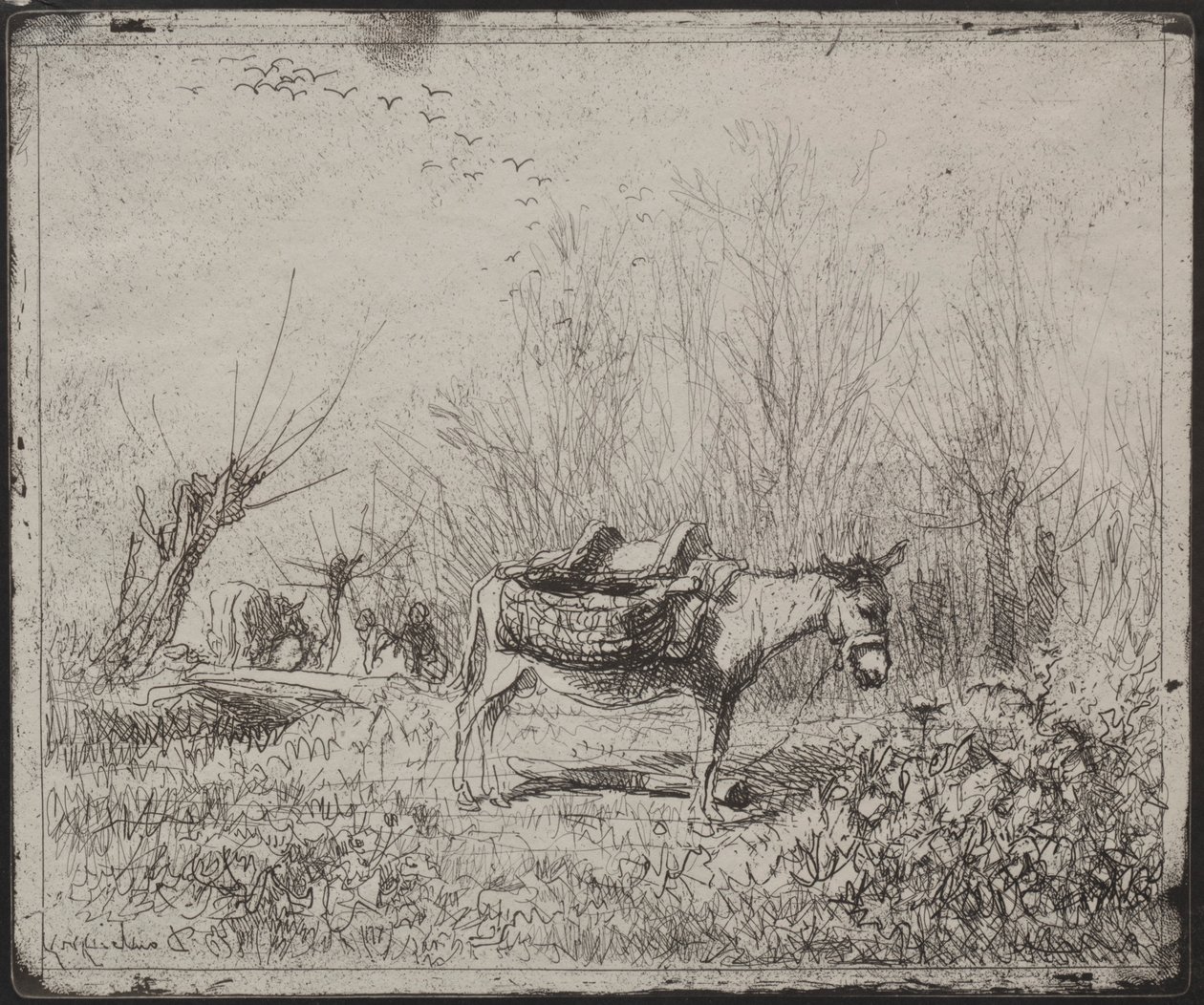 Ein Esel auf dem Feld, Originaldruck 1862, gedruckt 1921 von Charles Francois Daubigny