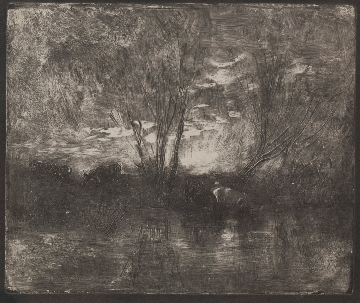 Kühe an einer Tränke, Originaldruck 1862, gedruckt 1921 von Charles Francois Daubigny