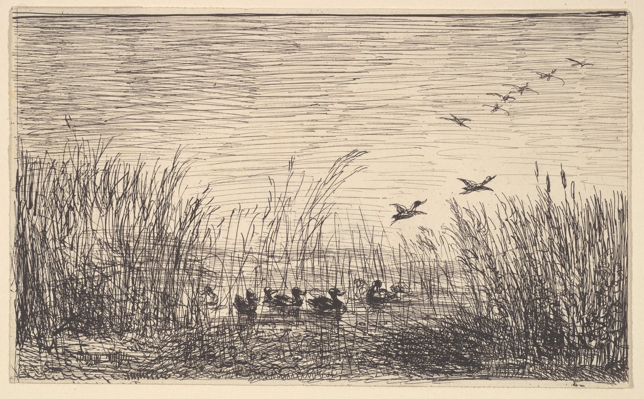 Enten in den Sümpfen, [1862], neu gedruckt 1921 von Charles Francois Daubigny