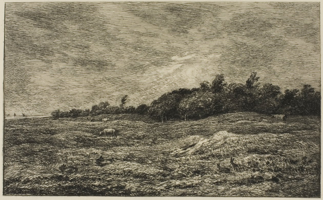 Le Pré des Graves in Villerville (Calvados) von Charles Francois Daubigny