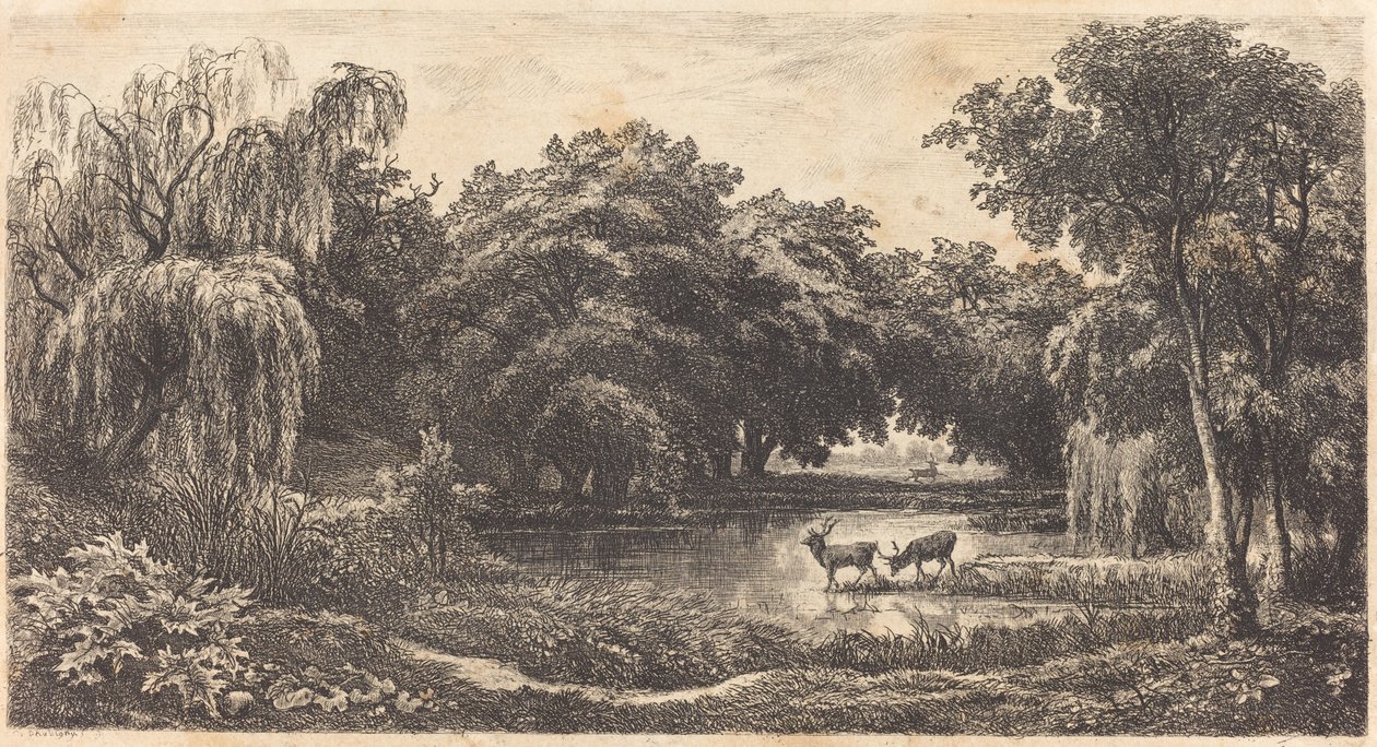 Teich mit Hirschen (La Mare aux cerfs) von Charles Francois Daubigny