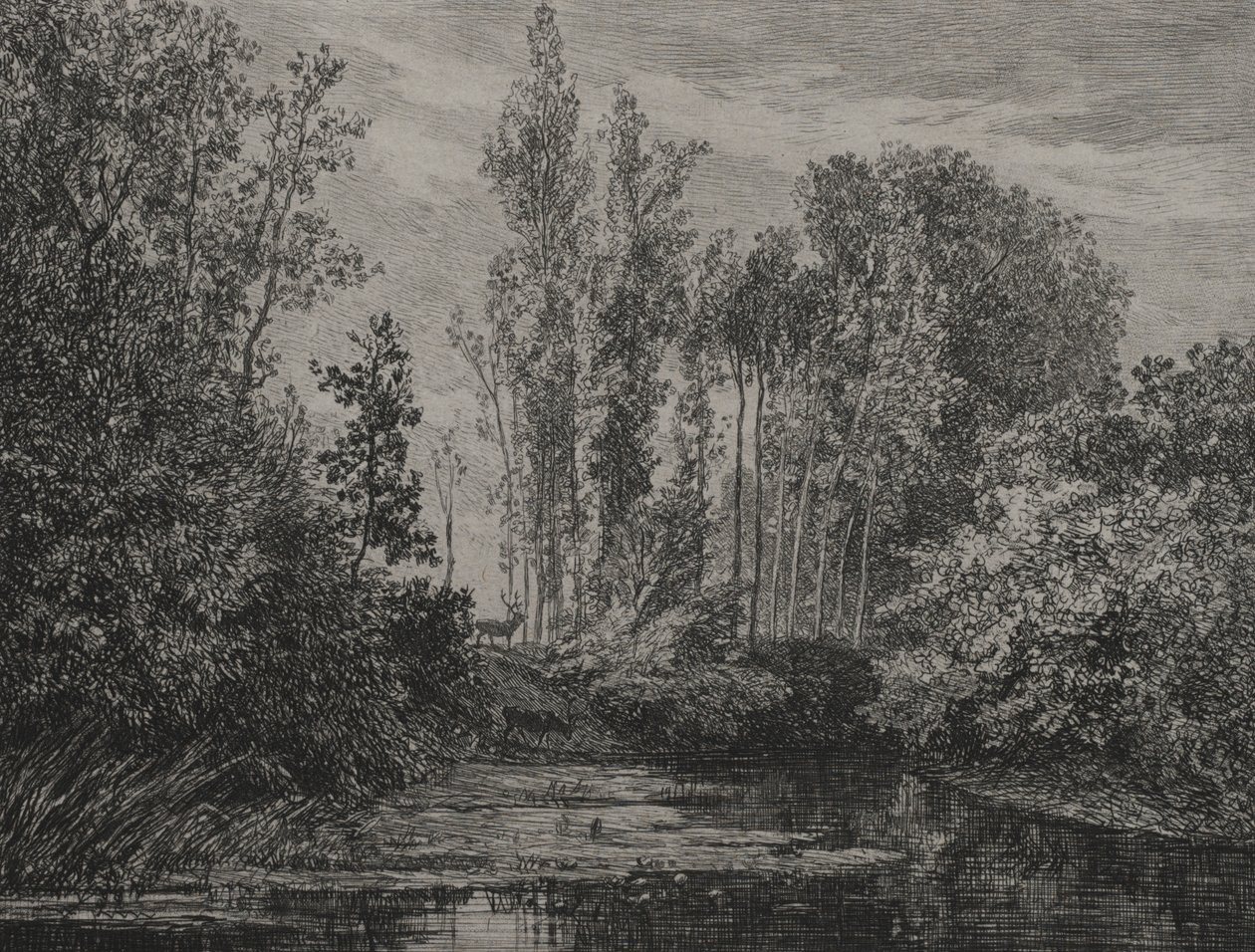 Hirsche am Wasser, 1850 von Charles Francois Daubigny