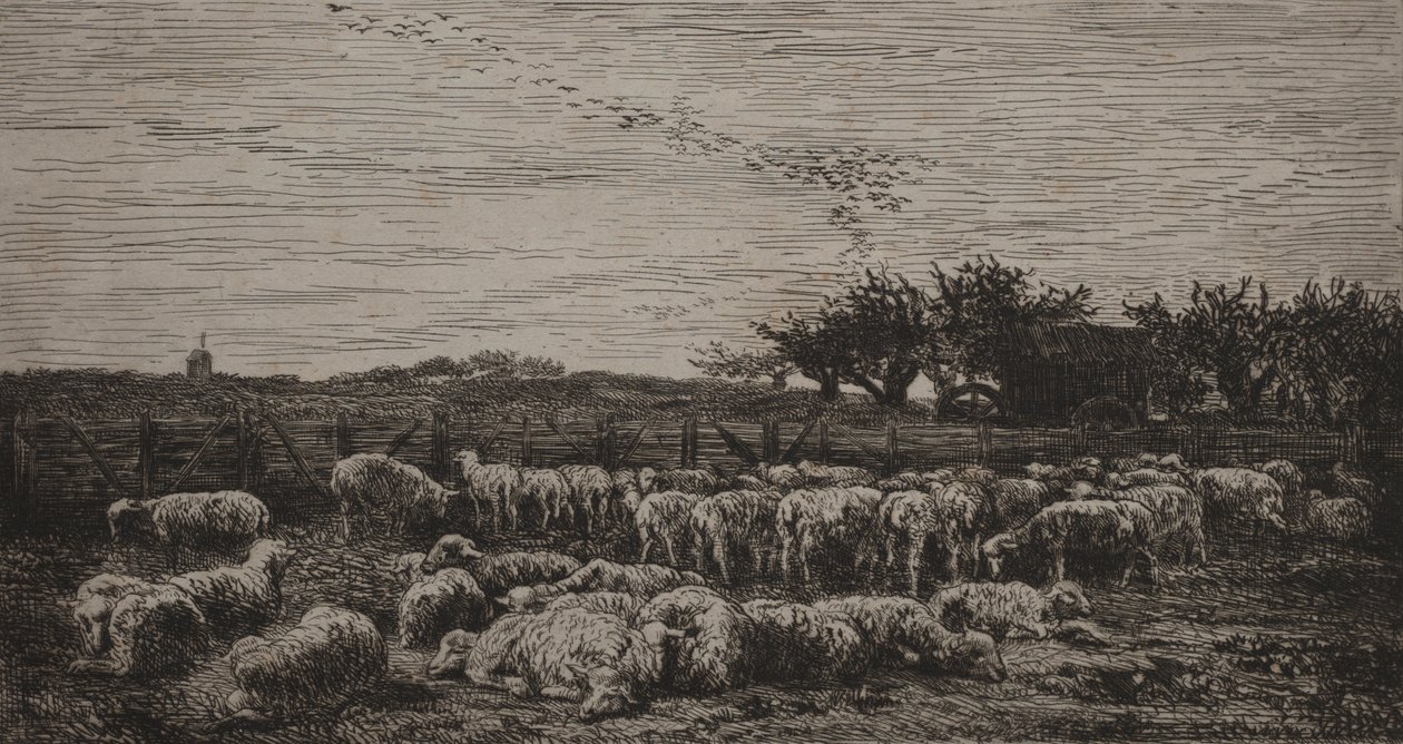 Der große Schafstall, 1860 von Charles Francois Daubigny