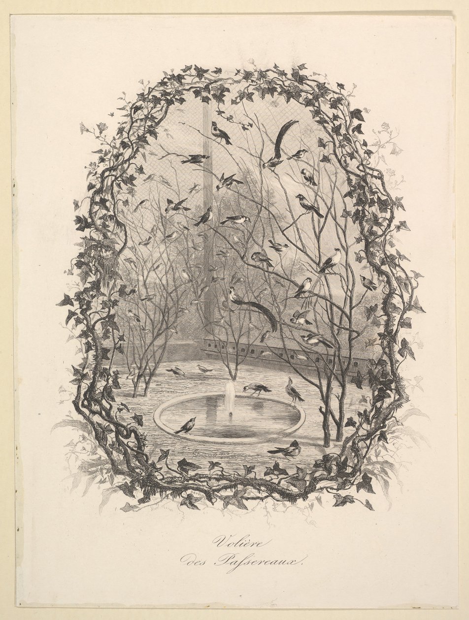 Das Spatzenvoliere, 1843 von Charles Francois Daubigny