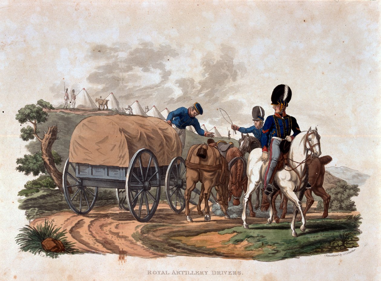 Fahrer der Königlichen Artillerie, aus 