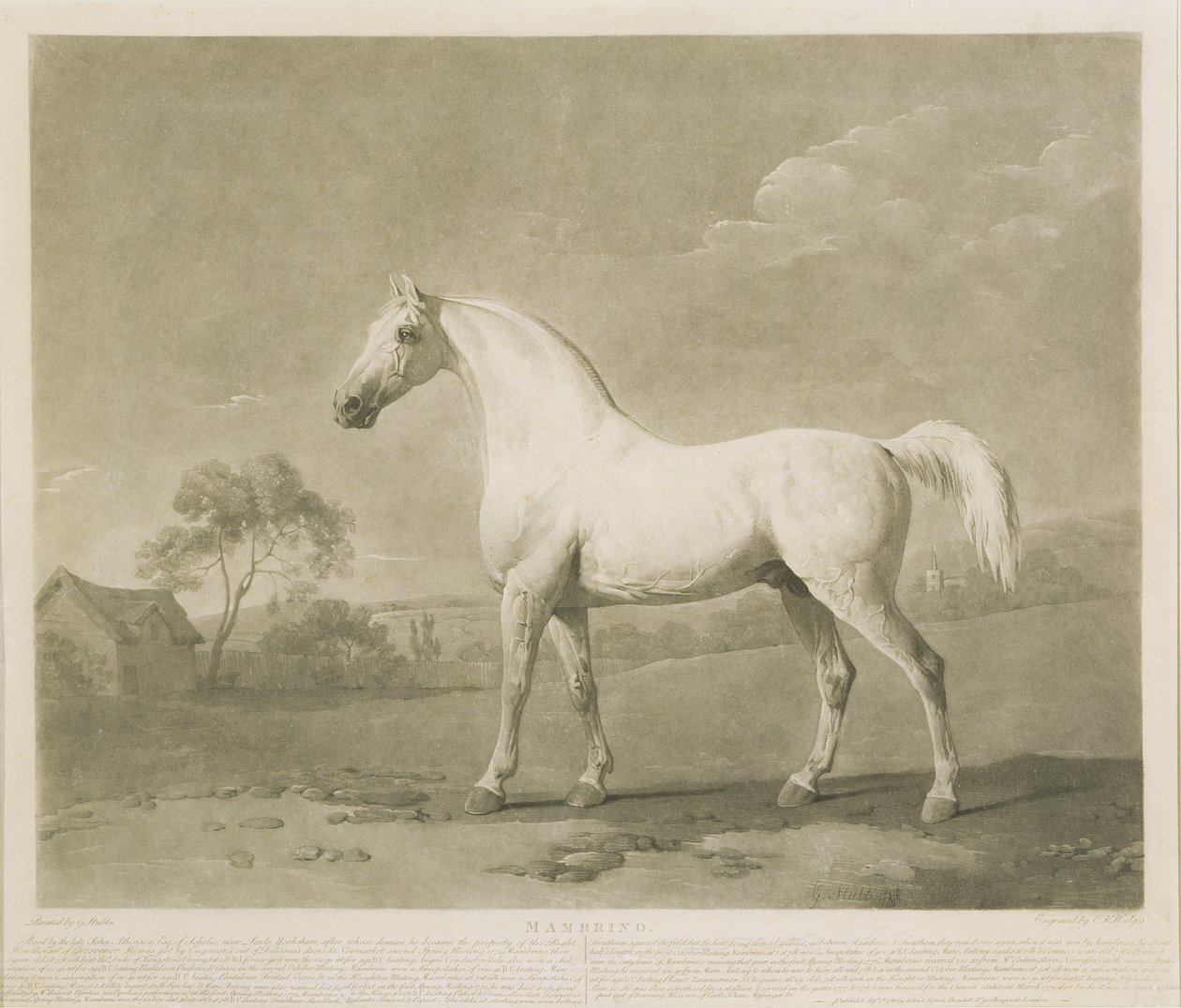 Mambrino, nach George Stubbs, 1788 von Charles Howard Hodges
