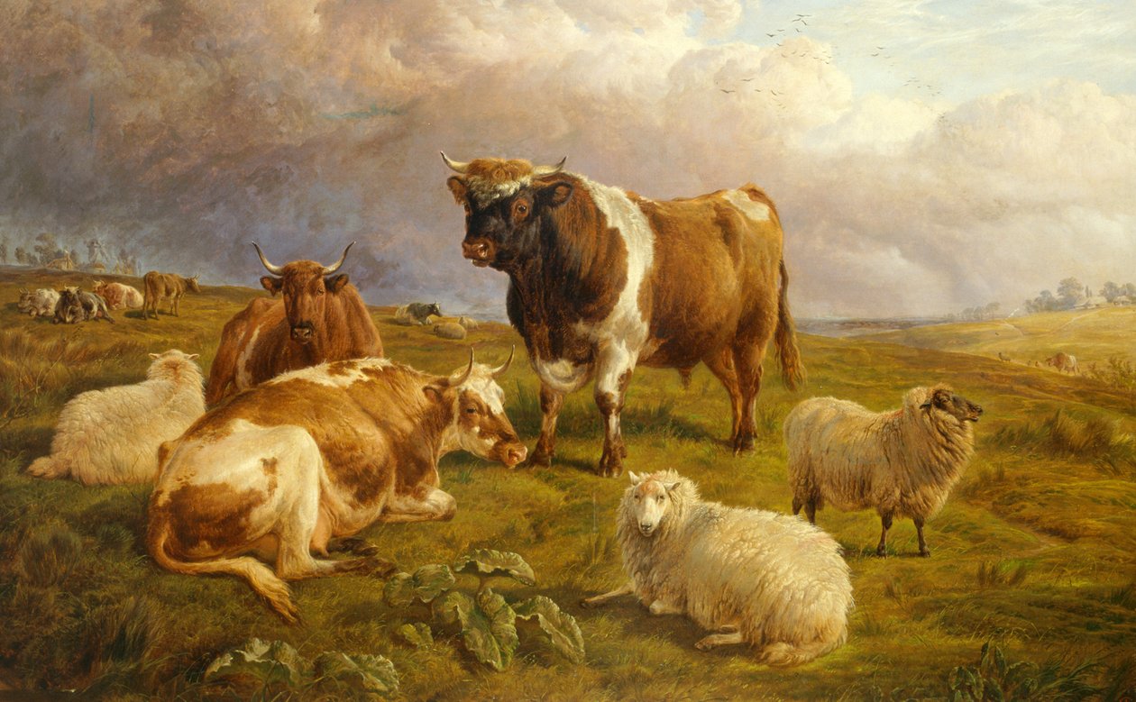 Ruhe von Charles Jones