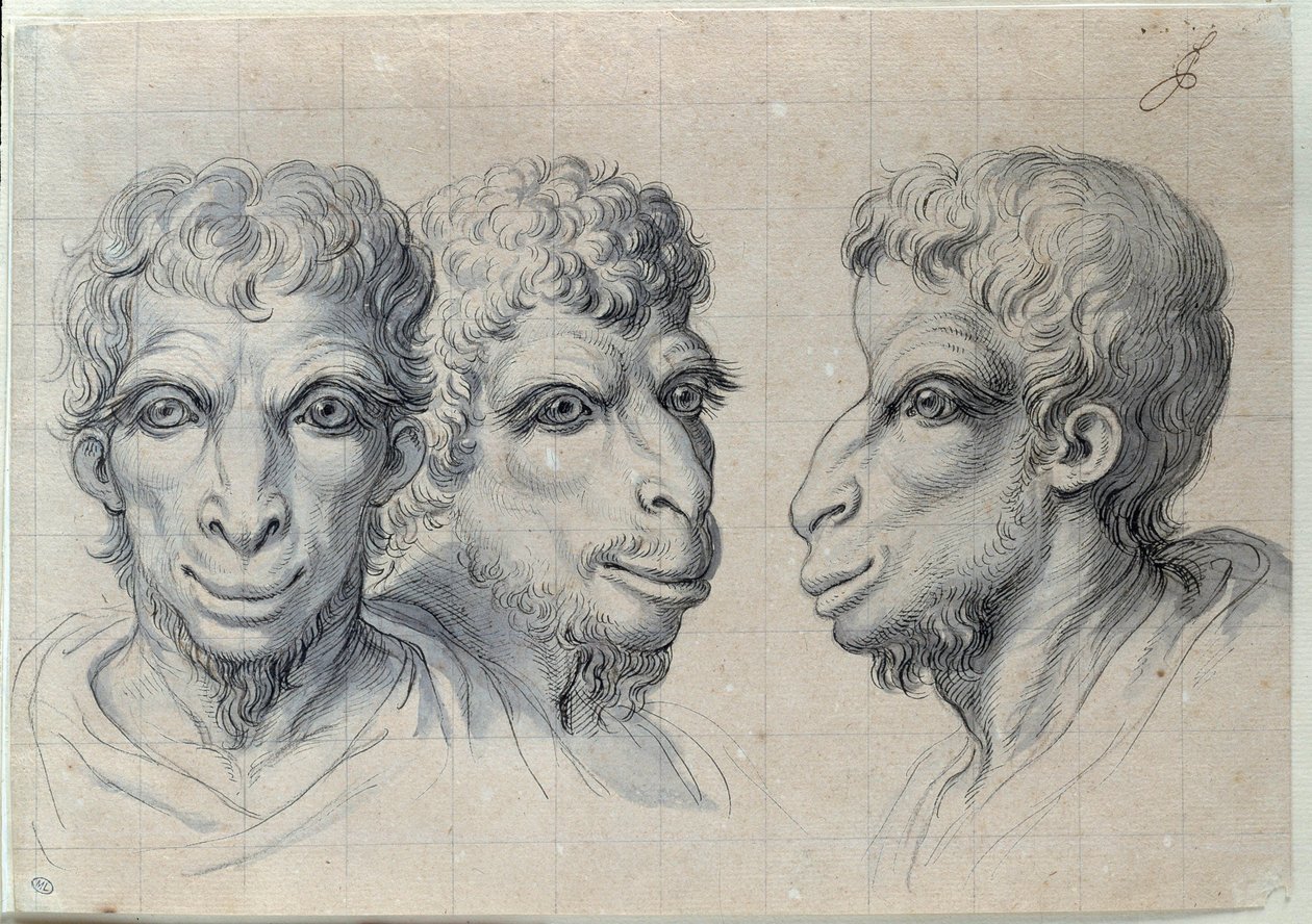 Studien von drei Männerköpfen, die an die Physiognomie des Kamels erinnern von Charles Le Brun